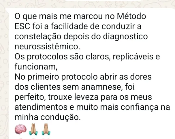 Print de mensagem de consteladora sobre clareza e confiança após o diagnóstico neurossistêmico