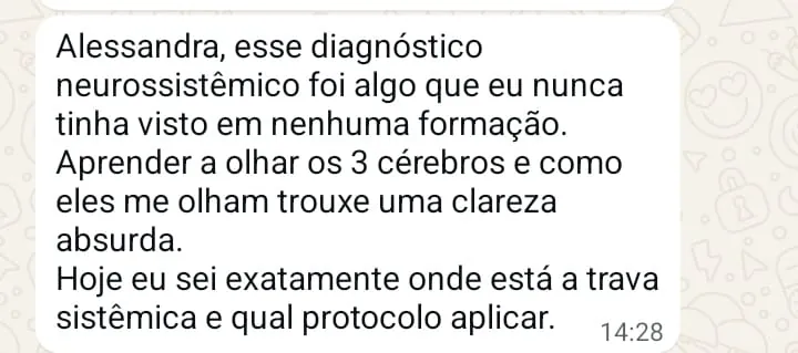 Print de mensagem de consteladora sobre identificar a trava sistêmica